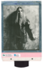 the-dark-lady