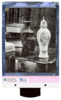 vases